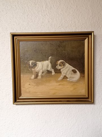 Oil on plate puppies
