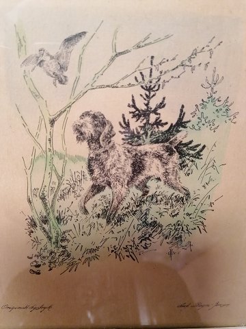 Leif Ragn Jensen hunting dog Light print 5/50